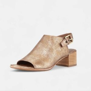 Donald J Pliner Maizy Metallic Gold/Bronze Low Heeled Sandals